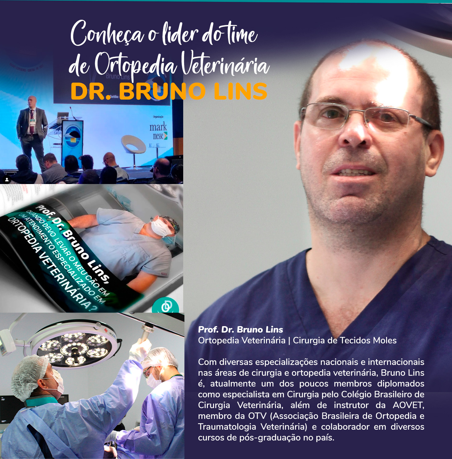 Ortopedia para Pets Bruno Lins